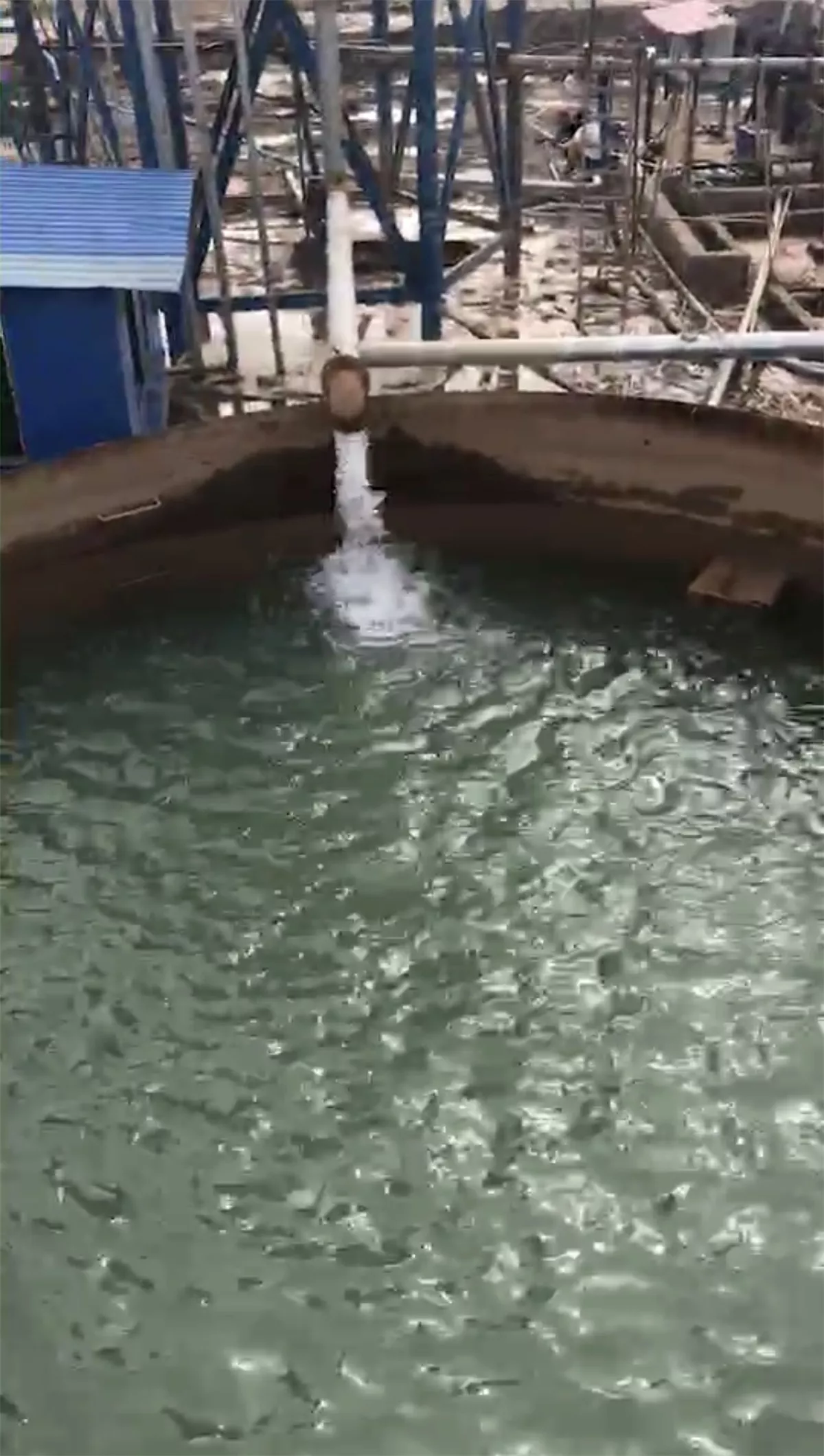 杰嘉环保带式污泥压滤机沙场处理效果